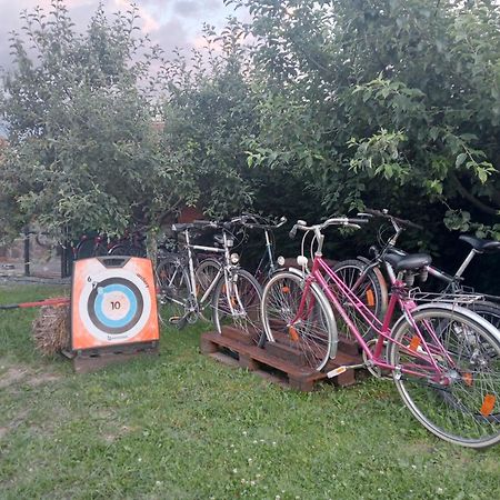 Hotel Casa Raisa & Maria Ocna Sibiului Zewnętrze zdjęcie