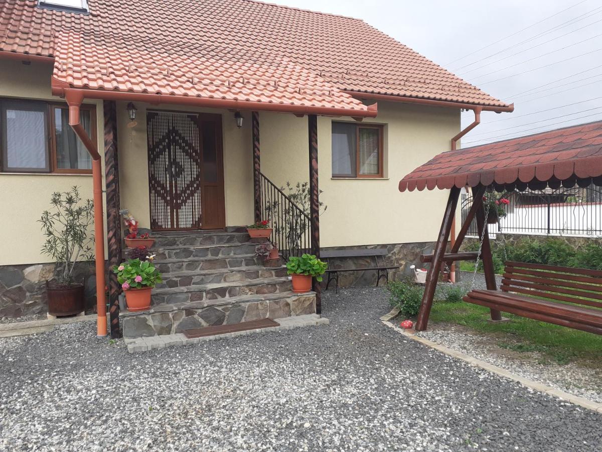 Hotel Casa Raisa & Maria Ocna Sibiului Zewnętrze zdjęcie