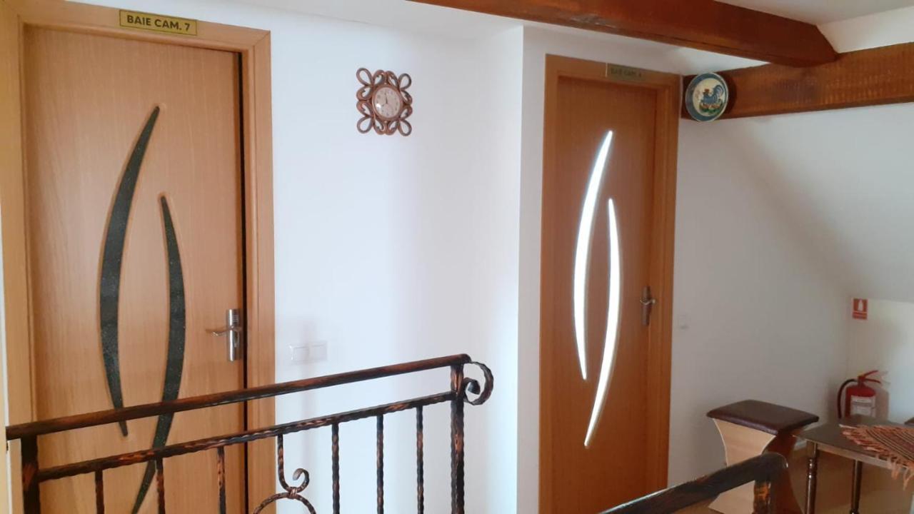 Hotel Casa Raisa & Maria Ocna Sibiului Zewnętrze zdjęcie