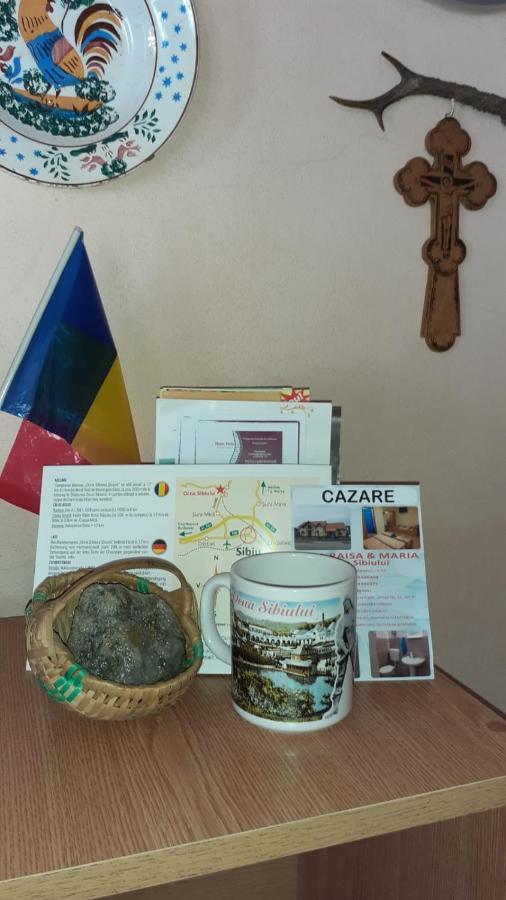 Hotel Casa Raisa & Maria Ocna Sibiului Zewnętrze zdjęcie