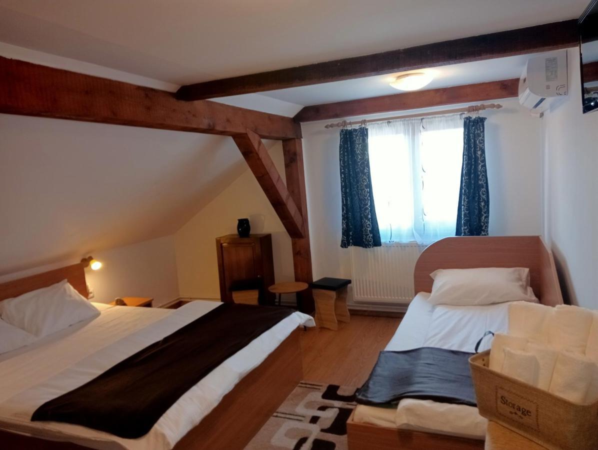 Hotel Casa Raisa & Maria Ocna Sibiului Zewnętrze zdjęcie