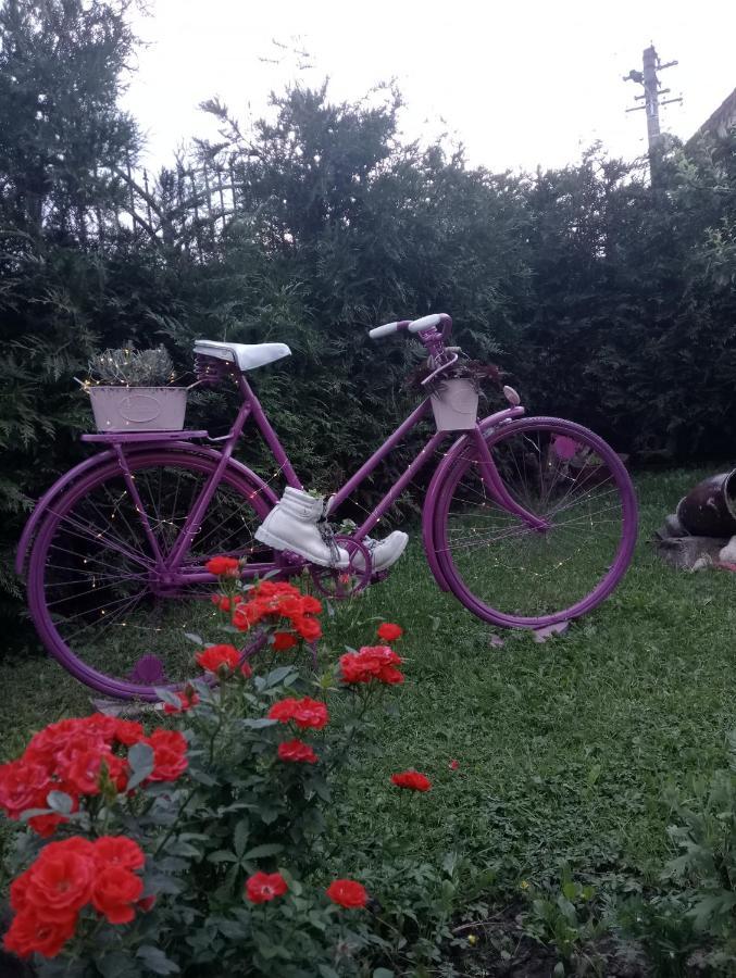 Hotel Casa Raisa & Maria Ocna Sibiului Zewnętrze zdjęcie
