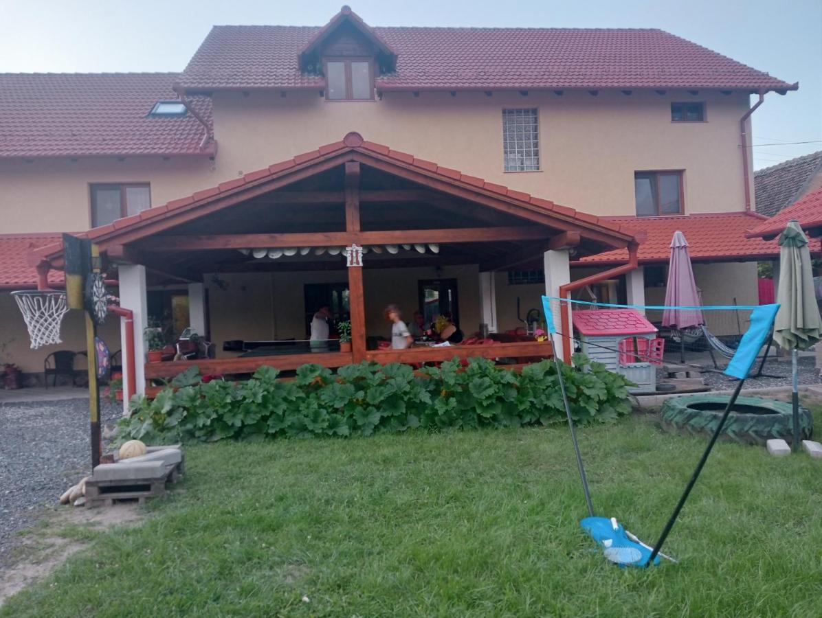 Hotel Casa Raisa & Maria Ocna Sibiului Zewnętrze zdjęcie