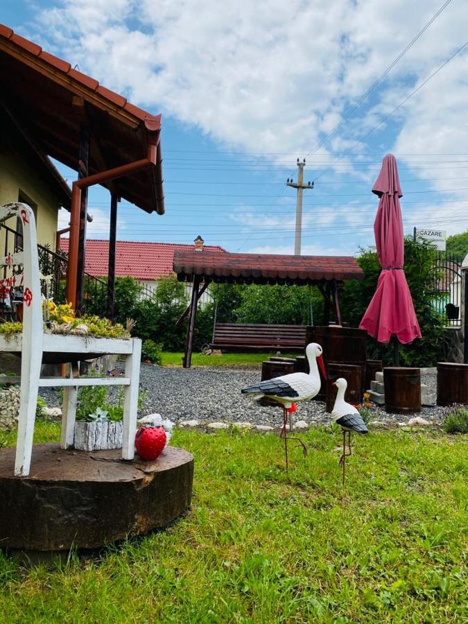 Hotel Casa Raisa & Maria Ocna Sibiului Zewnętrze zdjęcie