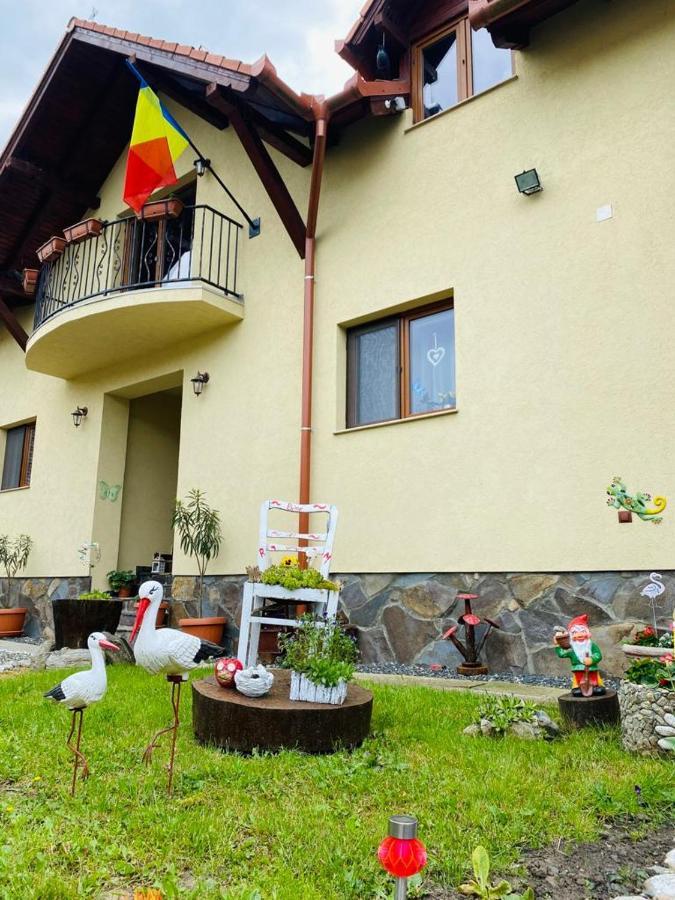 Hotel Casa Raisa & Maria Ocna Sibiului Zewnętrze zdjęcie