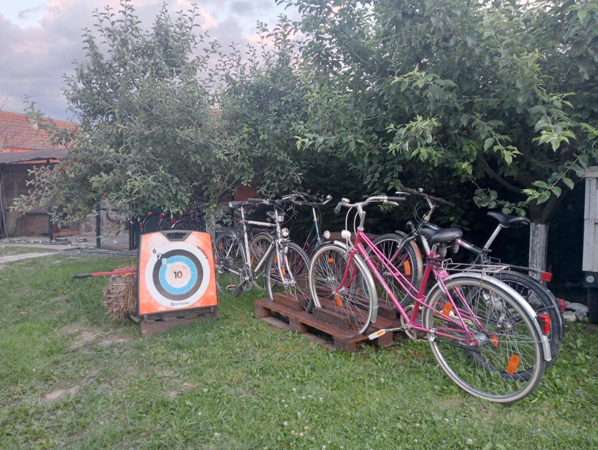 Hotel Casa Raisa & Maria Ocna Sibiului Zewnętrze zdjęcie