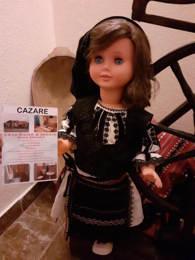 Hotel Casa Raisa & Maria Ocna Sibiului Zewnętrze zdjęcie